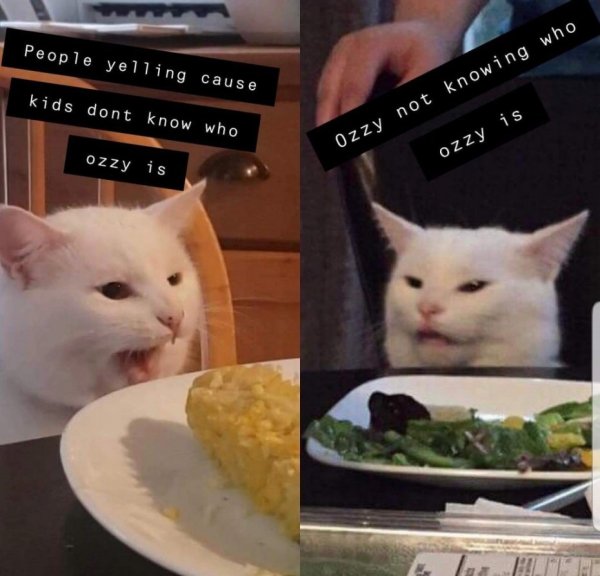 Мем с котом и девушками за столом