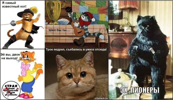 Самые известные мемы с котами