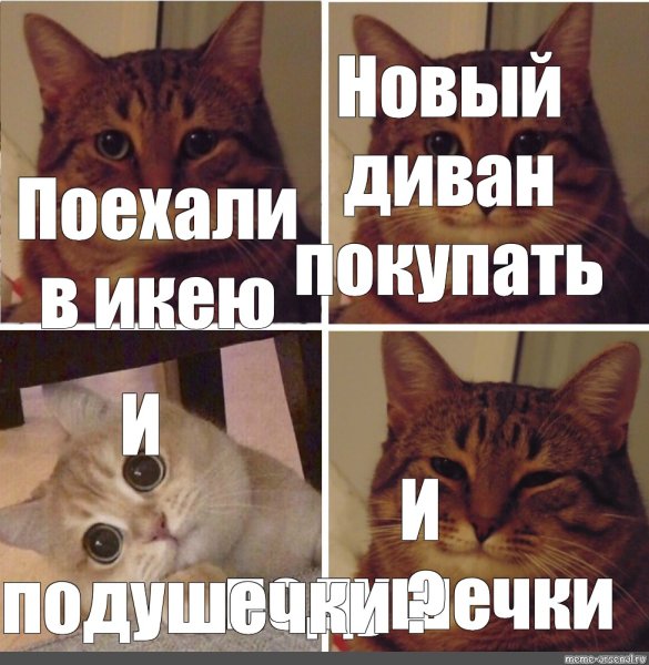 Мем кот хорошо