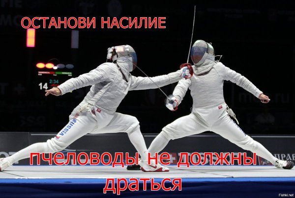 Смешные фехтовальщики