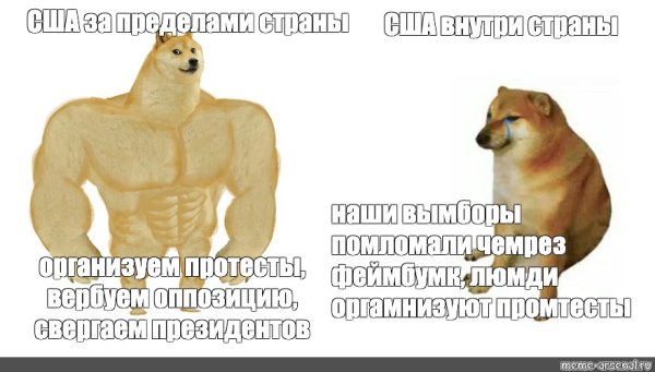 Сиба ину качок