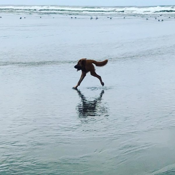 Прикольные панорамные снимки