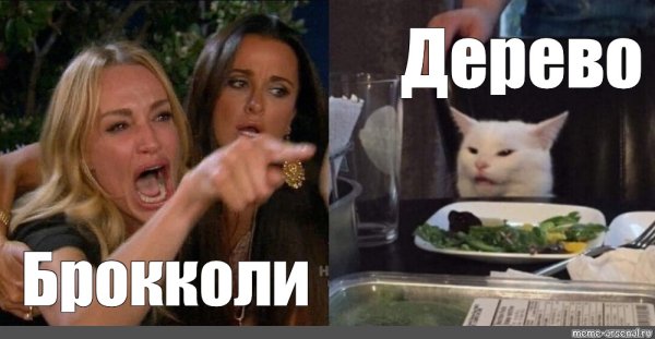 Мем женщина орет на кота