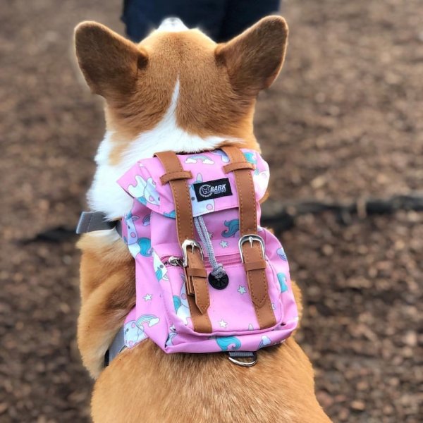 Рюкзак корги