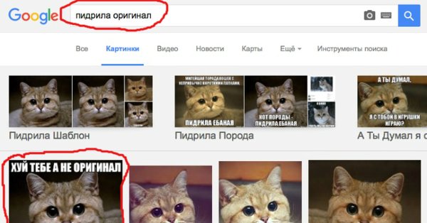 Пидрила оригинал