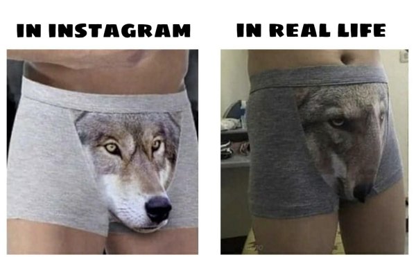 Трусы с волком мужские