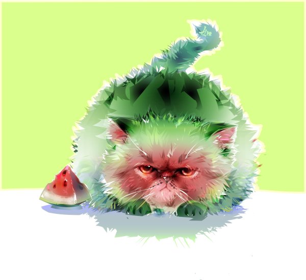 Котик с арбузом