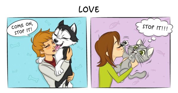 Кошатники и собачники