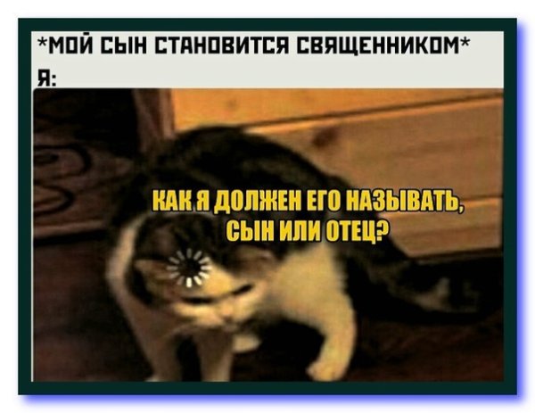 Кот грузится