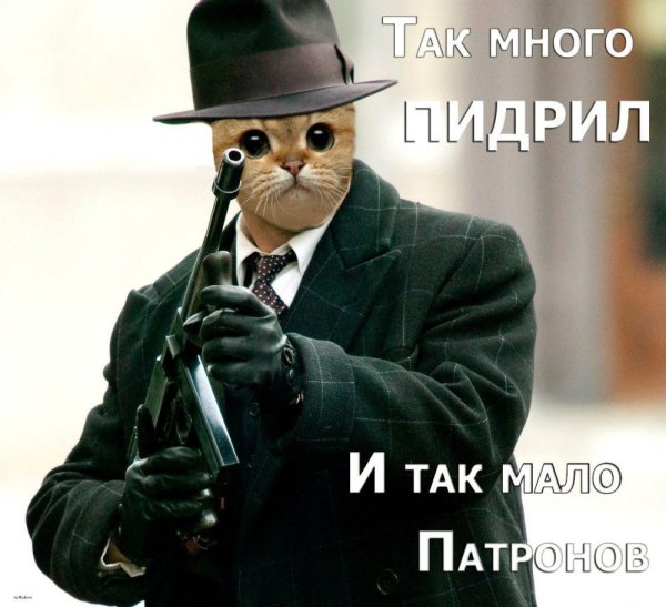 Так много пидрил и так мало патронов