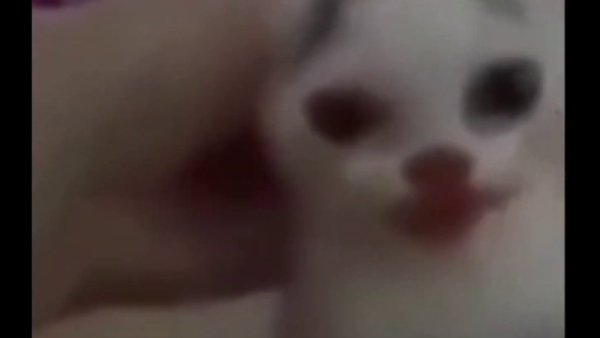 Джокер Виктор Дудко кот