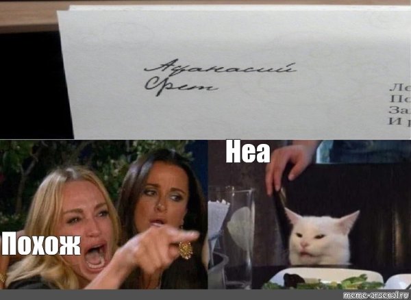 Мемы с котом за столом