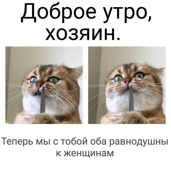 Не доброе утро Мем