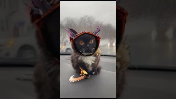 Котики персонажи дота 2