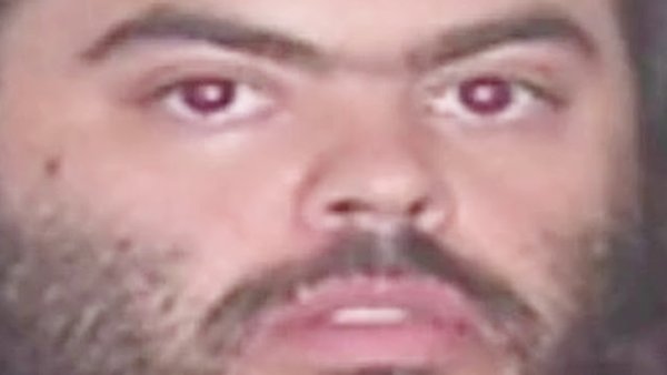 Джимбо скажи им