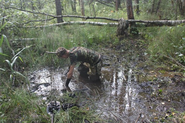 Непроходимое болото