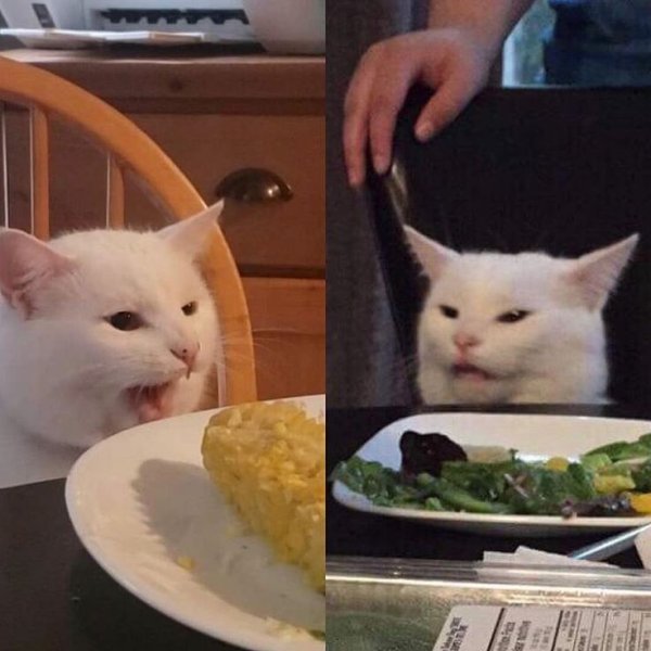 Мем с котом и девушками за столом
