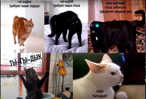 Кот ночной тыгыдык