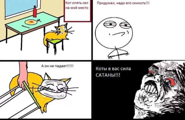 Смешные коты мемы