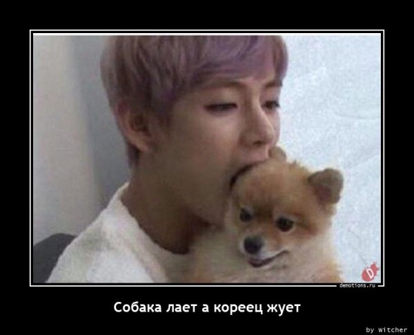 Корейцы едят собак