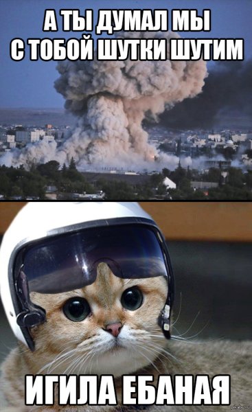 Ты думал мы шутки шутим