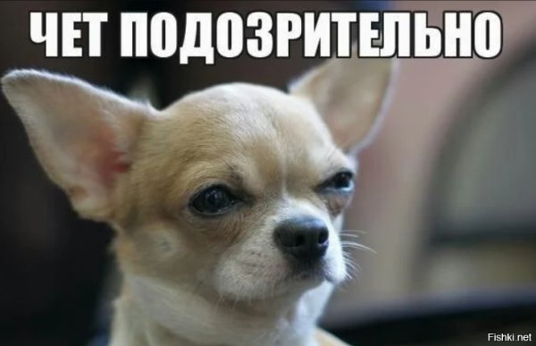 Чет подозрительно