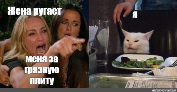Мемы с недовольным котом за столом