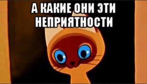 Котёнокмгаф неприятности