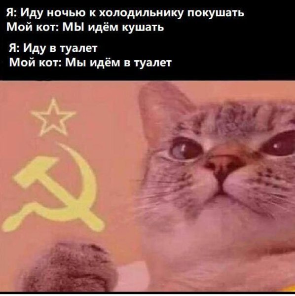 Коммунистический кот