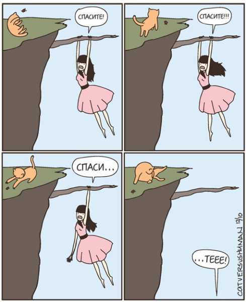 Мем собаки лучше кошек