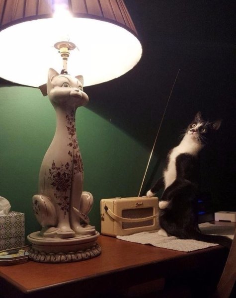 Лампа кот