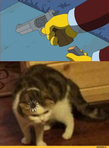 Мемы с котом загрузка