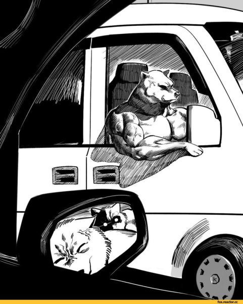 Собака с бицухой