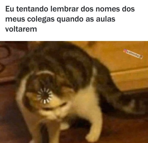 Не понял Мем кот