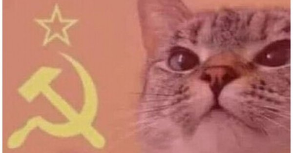 Советский кот