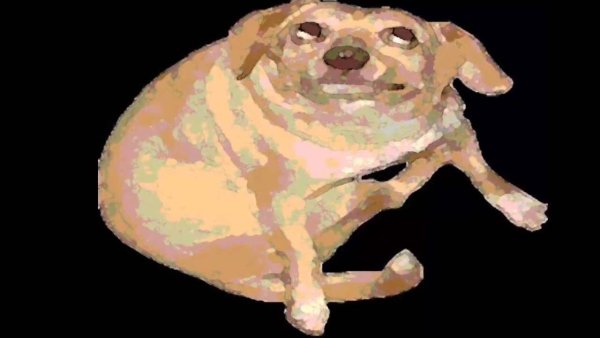 Танцующий пес