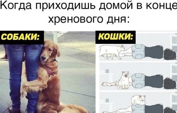 Когда пришла домой