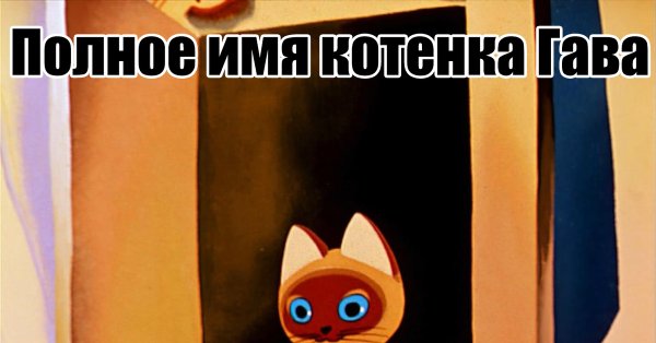 Котенок Гав приколы