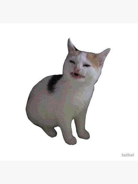 Кот для фотошопа