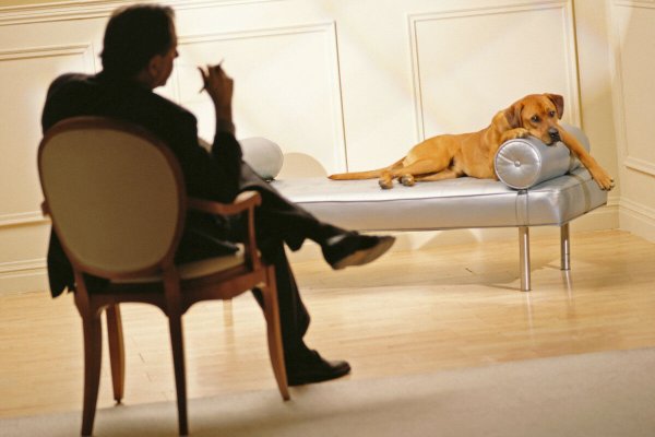 Зоопсихолог профессия