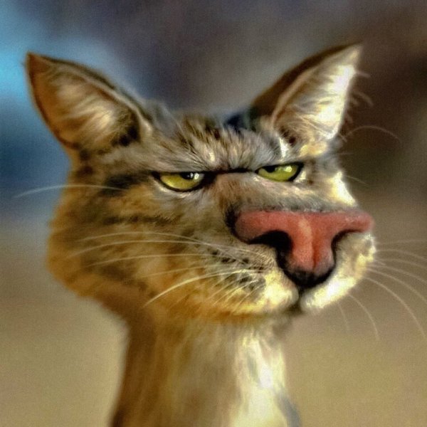 Кошка смеется