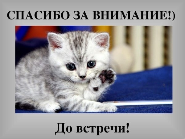 Спасибо за внимание коитки