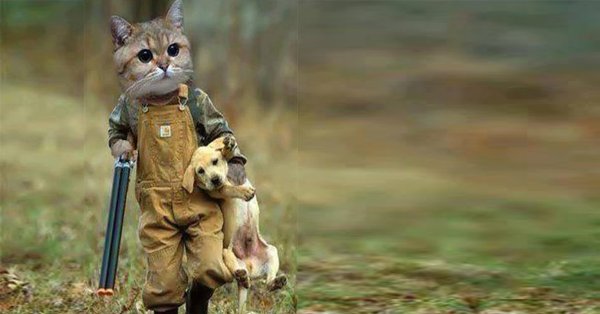 Кот охотник с ружьем