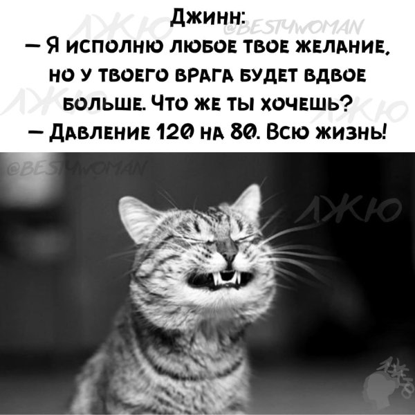 Котик смеется