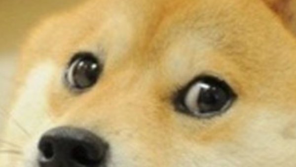 Грустный Doge