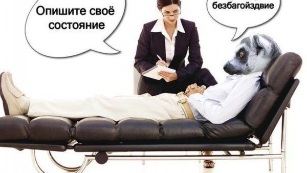 Собака психолог