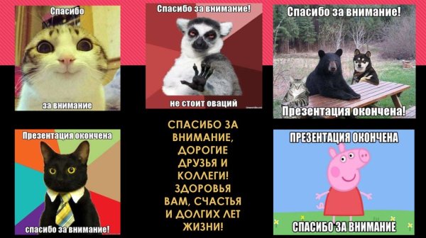 Благодарю за внимание смешные