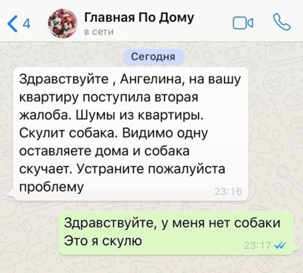 Это не собака это я скулю