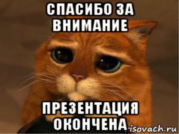 Спасибо за внимание кот