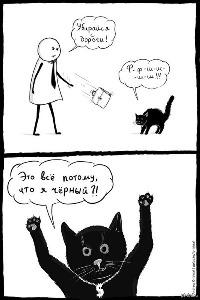 Черный кот юмор